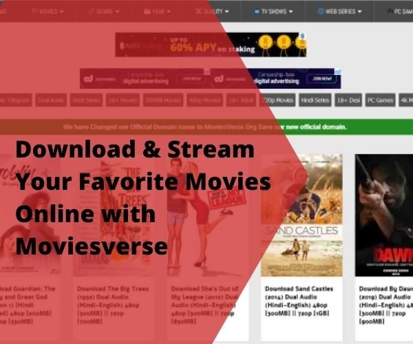 Download & Stream Your Favorite Movies Online with Moviesverse