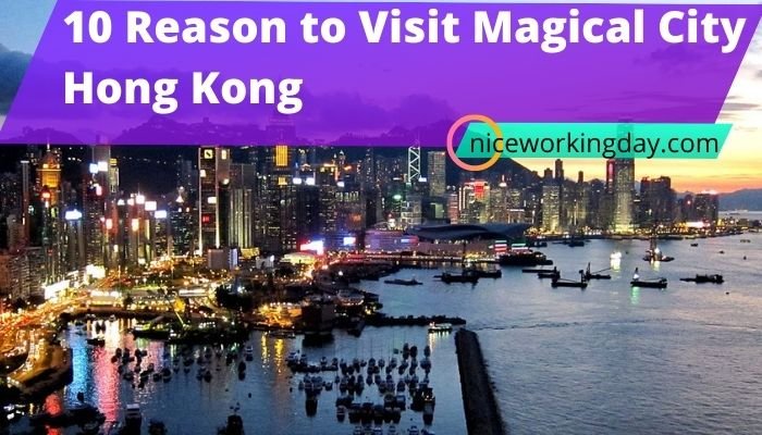 10 Reason to Visit Magical City Hong Kong