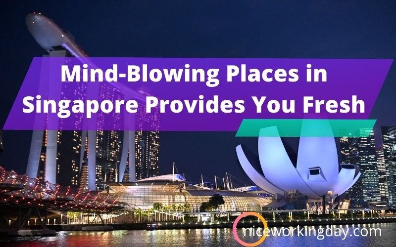 Mind-Blowing Places in Singapore Provides You Fresh & Energetic Touch