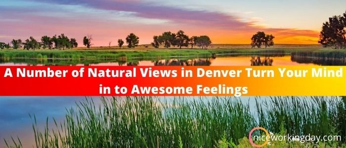 A Number of Natural Views in Denver Turn Your Mind in to Awesome Feelings