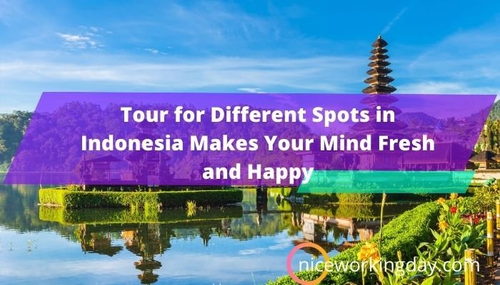 Tour for Different Spots in Indonesia Makes Your Mind Fresh and Happy