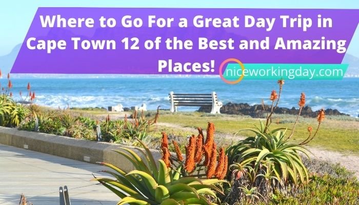 Where to Go For a Great Day Trip in Cape Town 12 of the Best and Amazing Places!