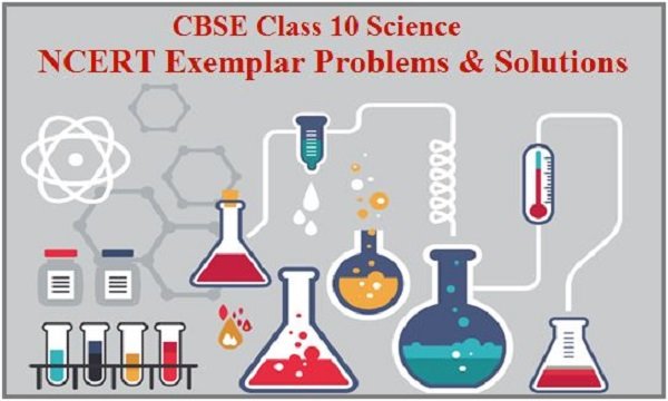 What do you need to know to ace your biology class 10 cbse exams?