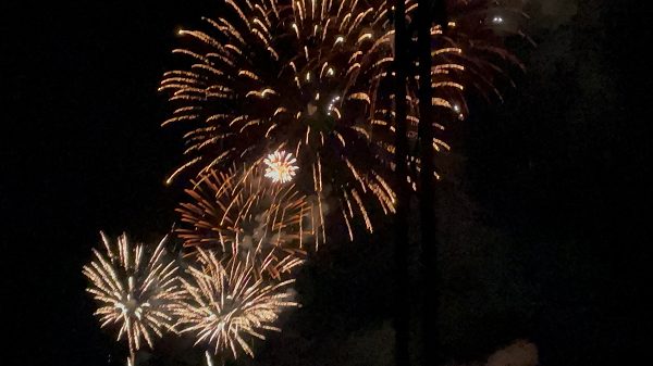 Carlsbad Fireworks 2022 {July 2022} How To This Celebration!