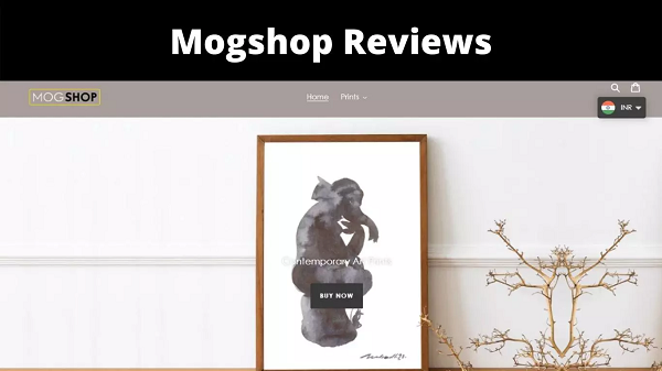 Mogshop Reviews [2022] You Should Know About This Site ?