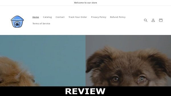 Petshack Reviews [2022] | Is the Petshack Website Real Or Not !