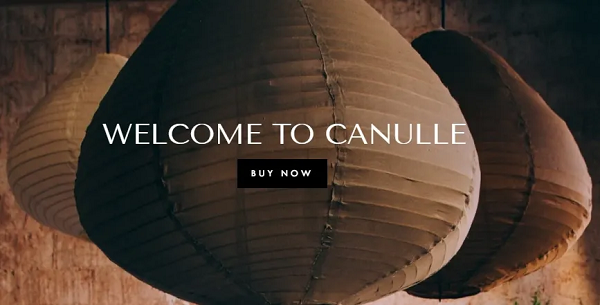 Canulle Reviews {2022} Is This A Legit Site Or Not?