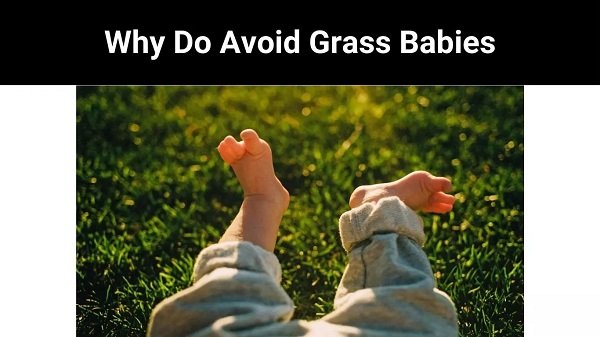 Why Do Keep away from Grass Infants Why do infants keep away from the Eyes?