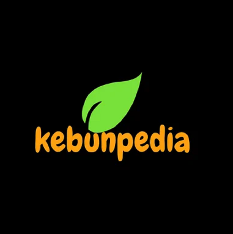 Kebunpedia Scam: What’s The Reactions of The Cipients of Messages?