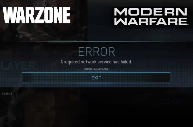 Warzone Error Goldflake Developer