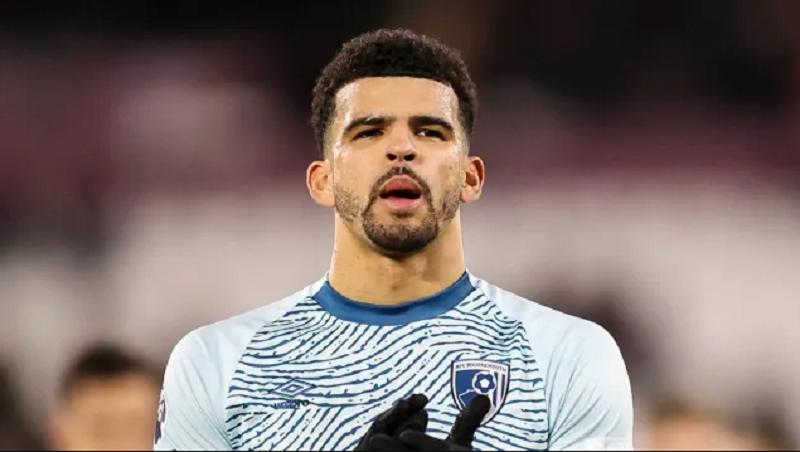 Dominic Solanke Injury Update: What Really Happened to Dominic Solanke?